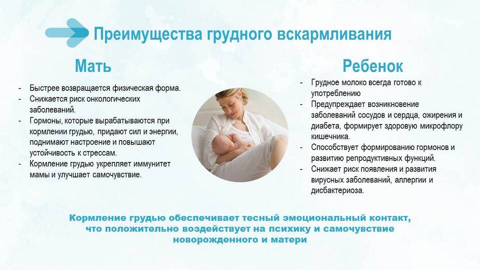 Анатомический состав женской груди в процентах