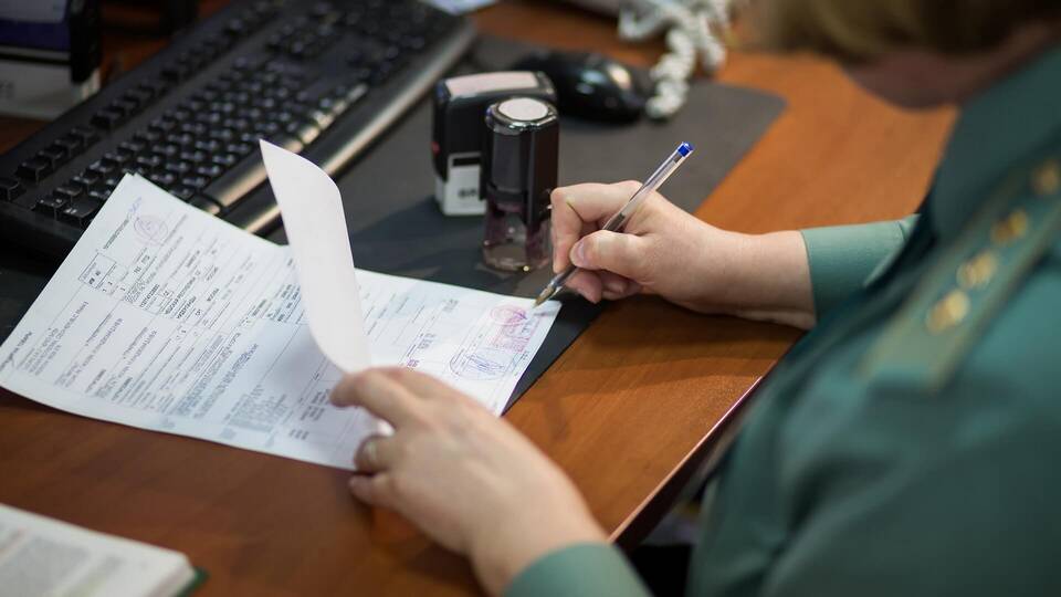 Что значит декларация на товар