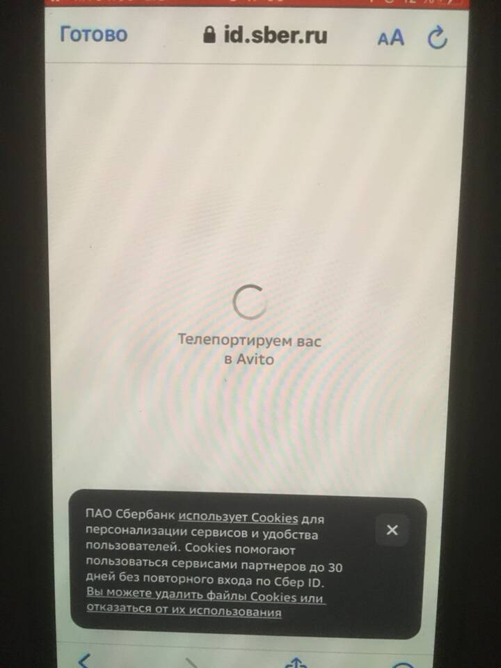 Как позвонить в поддержку Авито бесплатно из Санкт-Петербурга