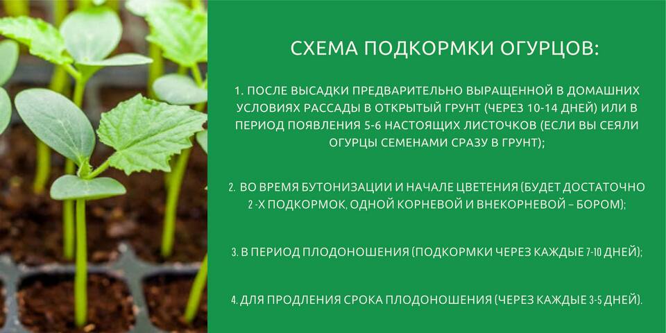 Как правильно использовать почву