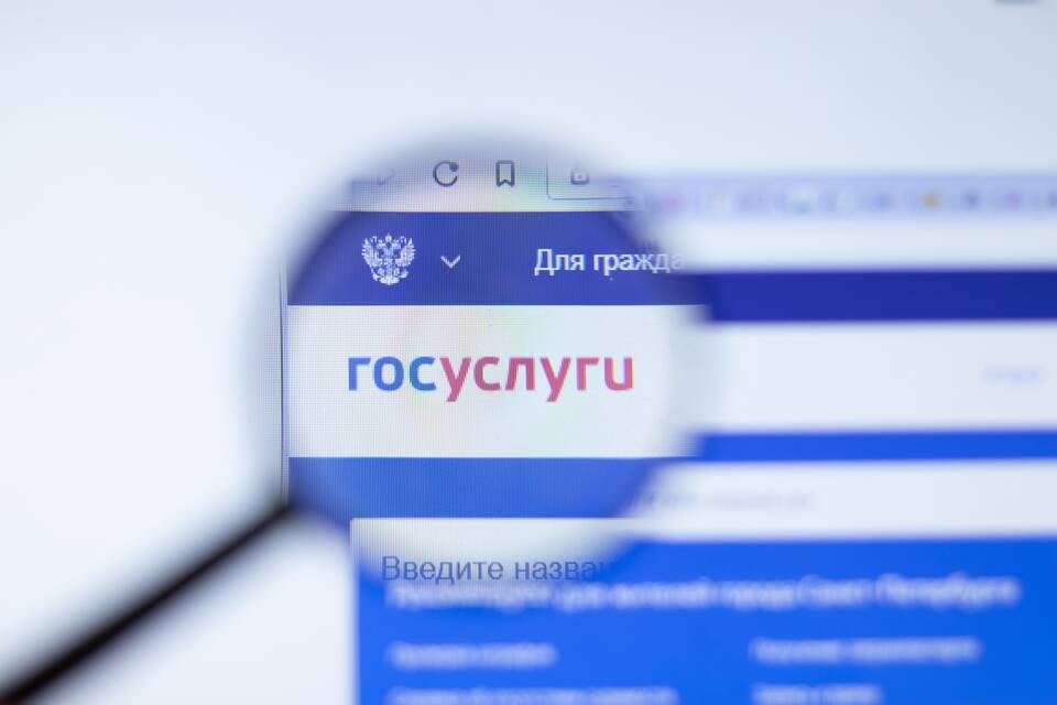 Зачем подтверждать запись на Госуслугах через банк