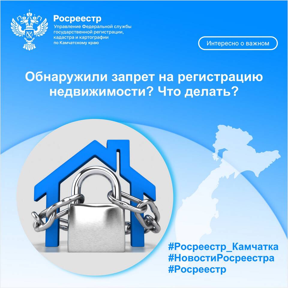 Запрет на регистрационные действия автомобиля: что делать