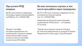Что нужно ИП для торговли: полный перечень требований в Башнефть