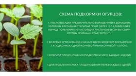 Как правильно использовать почву в Башнефть
