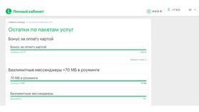 Как проверить остаток услуг на МегаФоне в Башнефть
