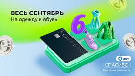 Как работает программа лояльности СберСпасибо в Башнефть