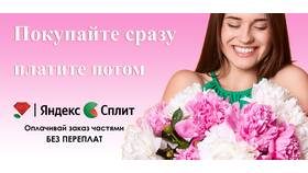 Оплата Яндекс СПЛИТ: как оплатить в Башнефть