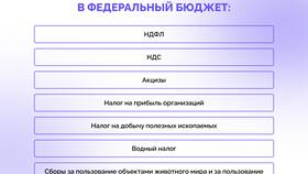 Зачем нужен подоходный налог в Башнефть