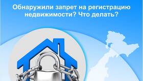 Запрет на регистрационные действия автомобиля: что делать в Башнефть