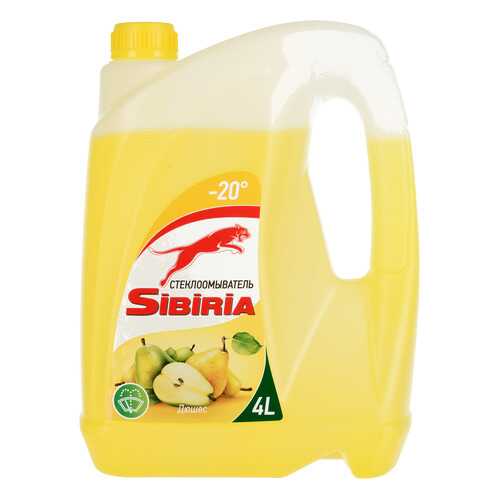 Жидкость омывателя -20С дюшес 4л SIBIRIA в Башнефть