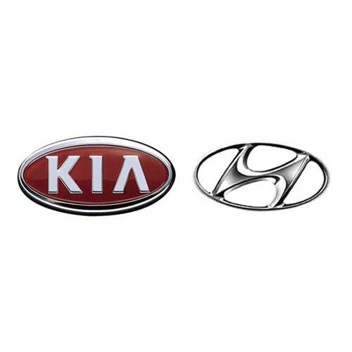 Форсунка омывателя Hyundai-KIA 98630A2500 в Башнефть