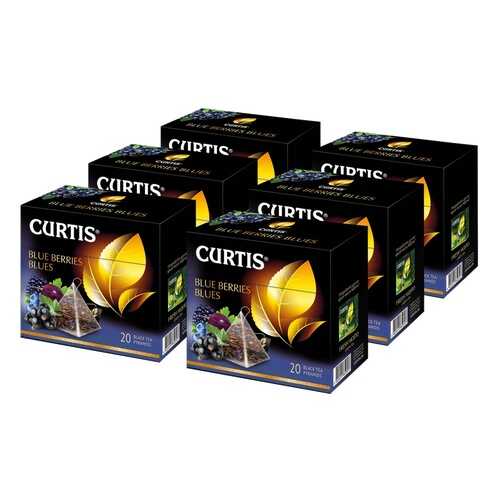 Чай Curtis Blue Berries Blues, чёрный с добавками, 20 пирамидок х 6 упаковок в Башнефть