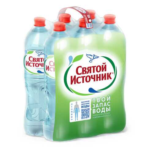 Вода питьевая Святой Источник газированная 1.5 л 6 штук в упаковке в Башнефть