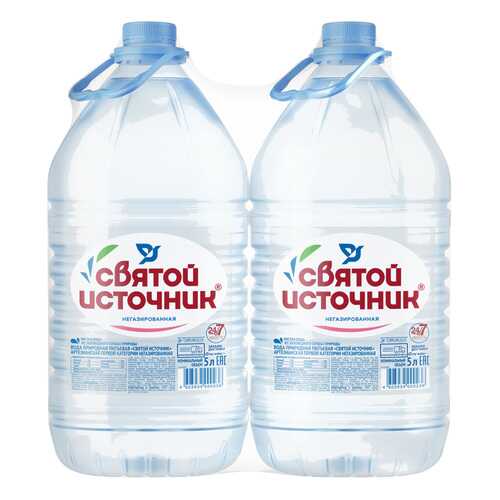 Вода питьевая Святой источник негазированная 5л/2 в Башнефть